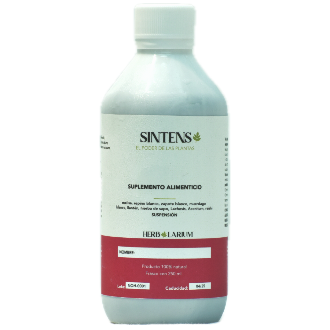 SINTENS