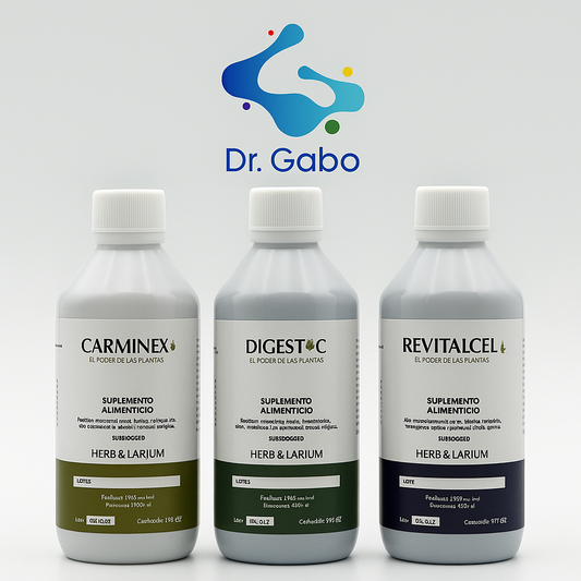 GASES DIGESTIVOS